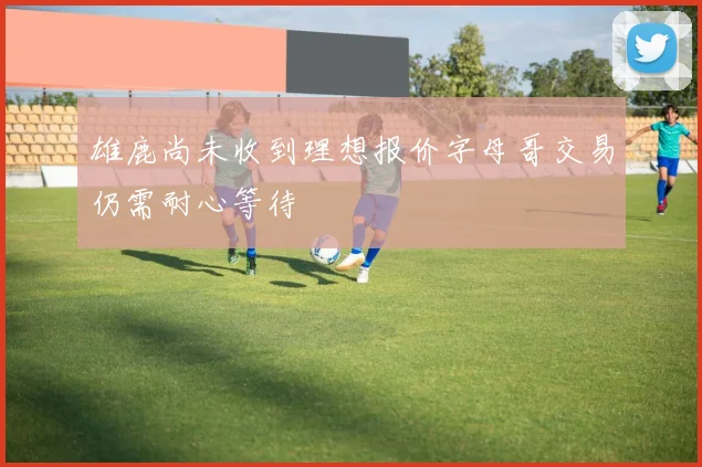 雄鹿尚未收到理想报价字母哥交易仍需耐心等待