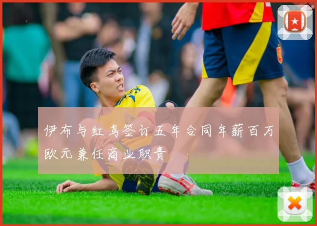 伊布与红鸟签订五年合同年薪百万欧元兼任商业职责